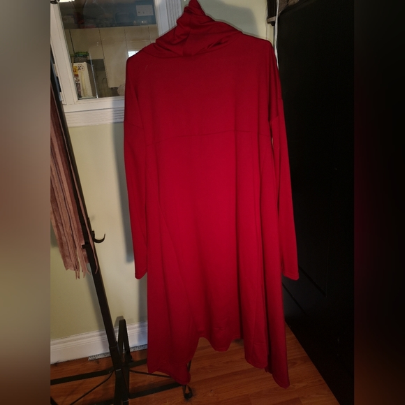 Red Tunic Dress - Picture 2 of 4